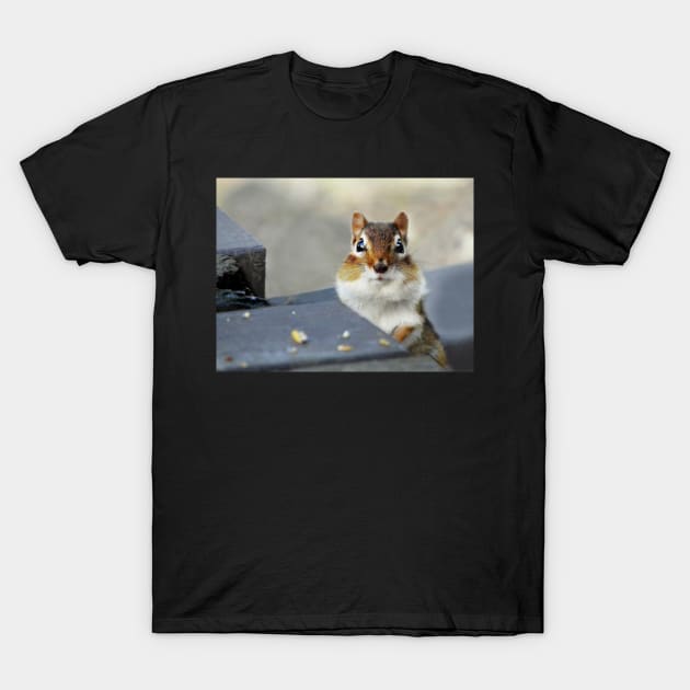 Bright eyed and bushy tailed T-Shirt by LaurieMinor